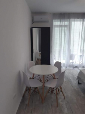 Tudor studio Mamaia Sat